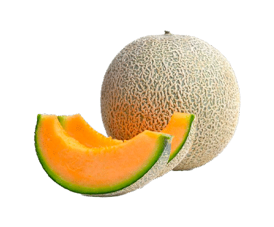 Cantaloupe Melon Fresh Organic Cut