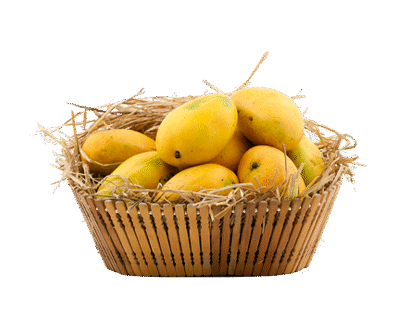 100% Premium Quality Garden Fresh Mango
